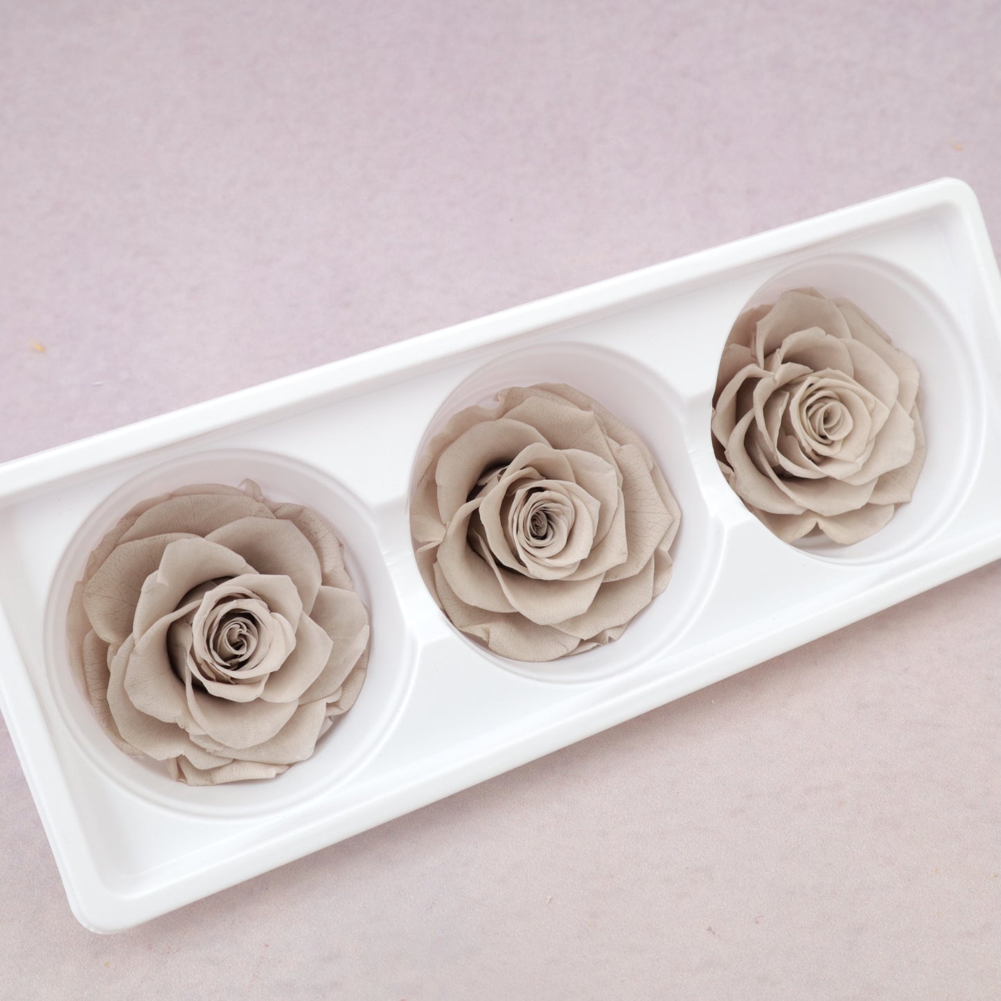 Rose Khaki 3 Heads