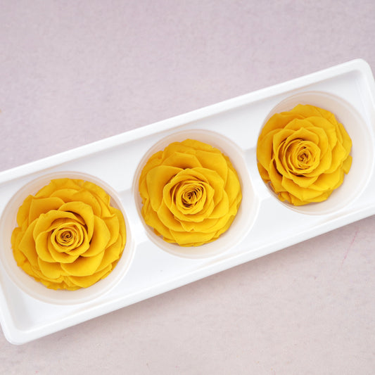 Rose Yellow 3 heads