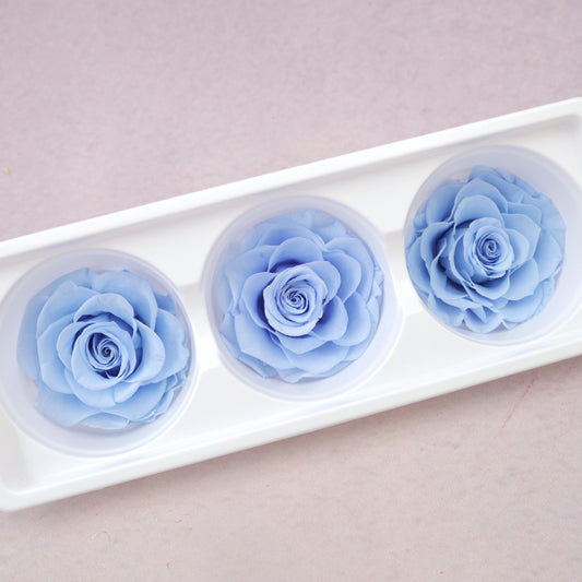 Rose Sky Blue 3 heads
