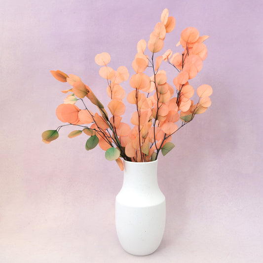 Poly Gum Ombré Peach