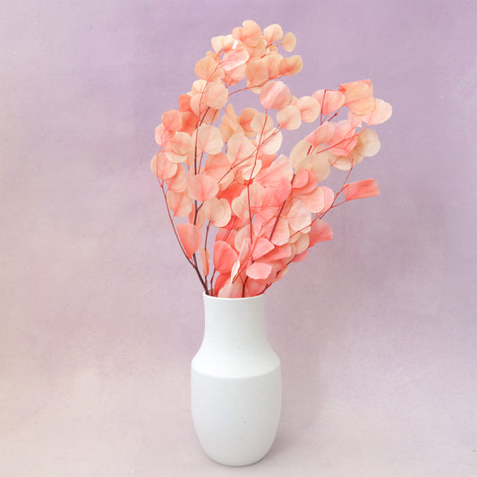 Poly Gum Ombré Pink