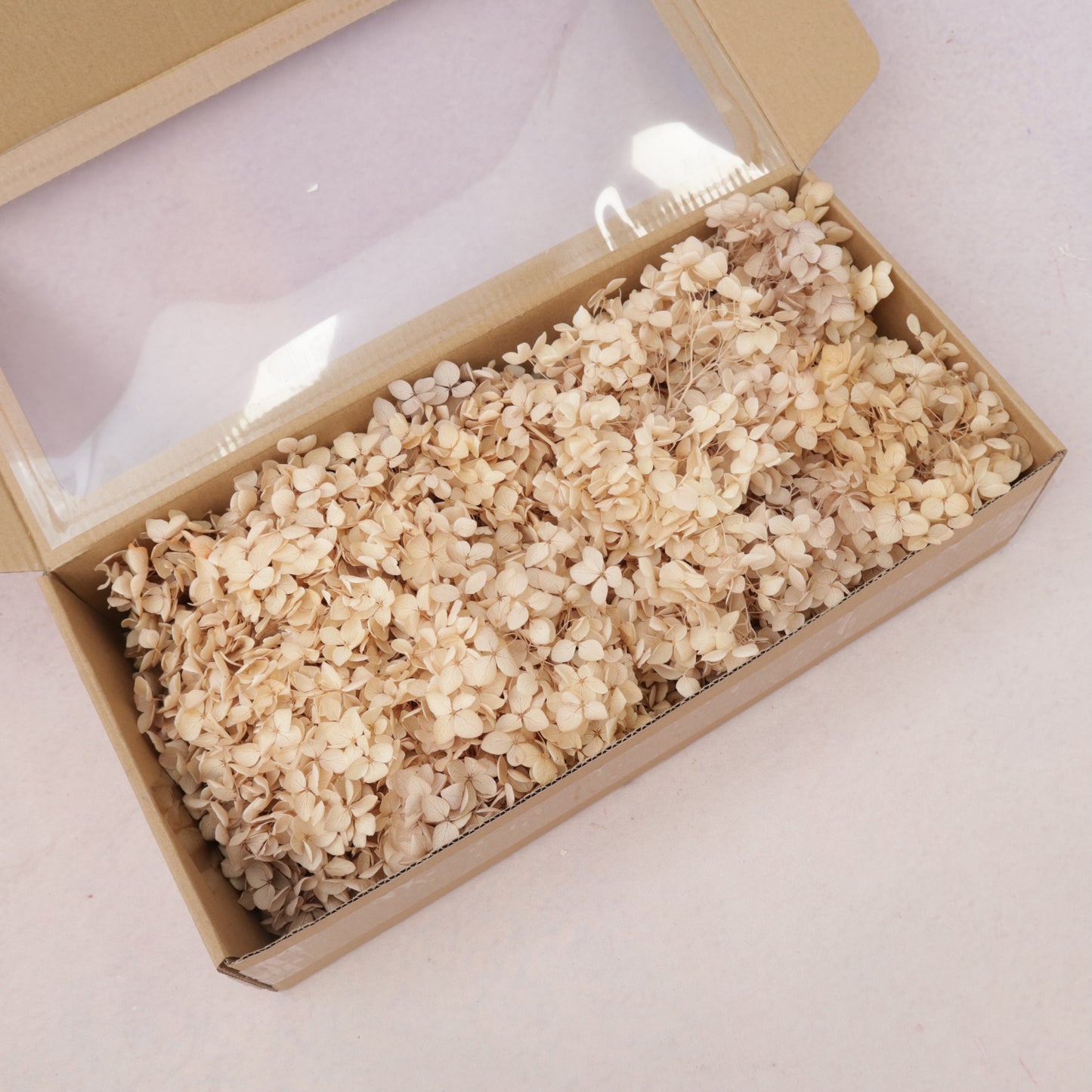 Annabelle Hydrangea 100g Box Sand