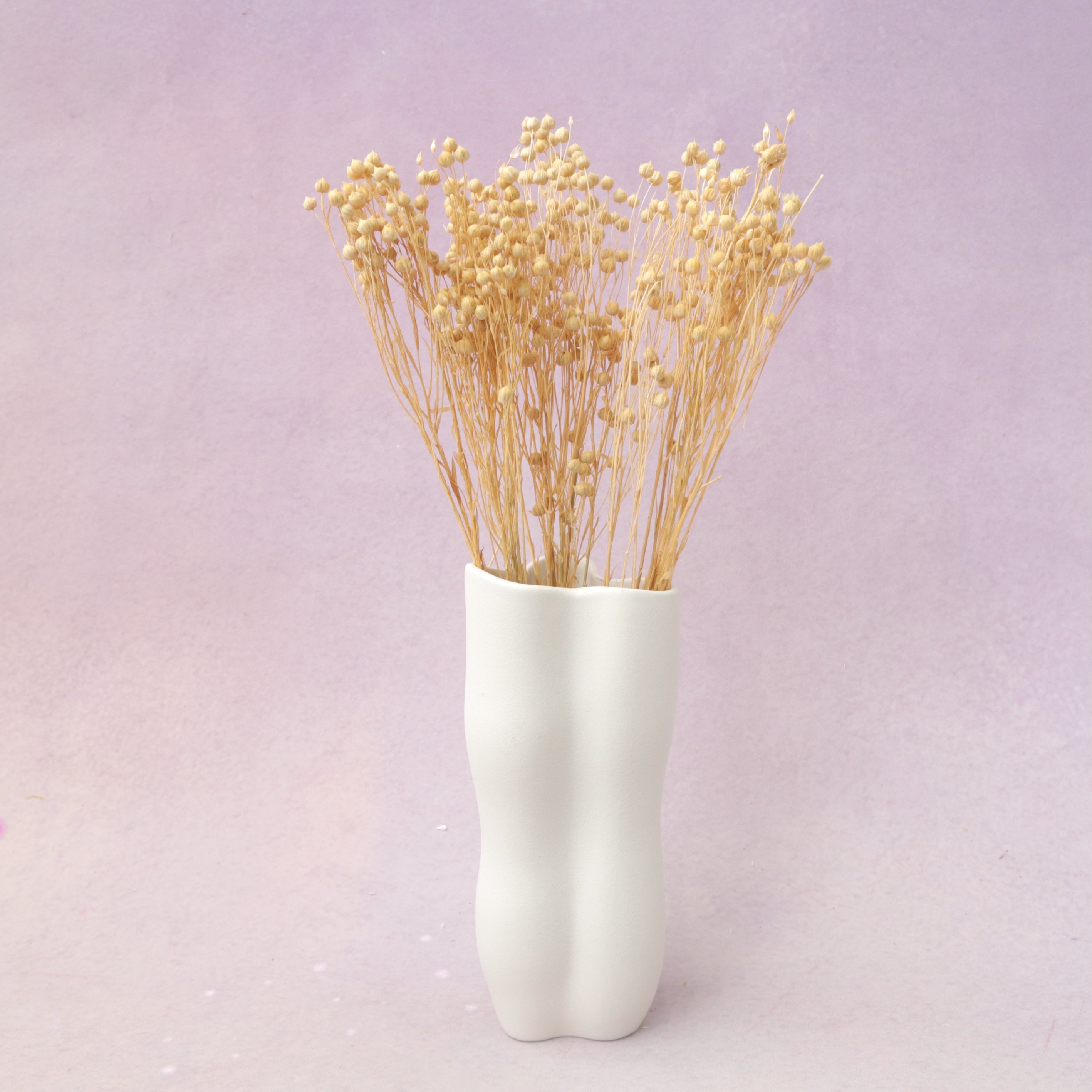 Hypericum Berries Cream