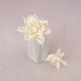Sola Flower P