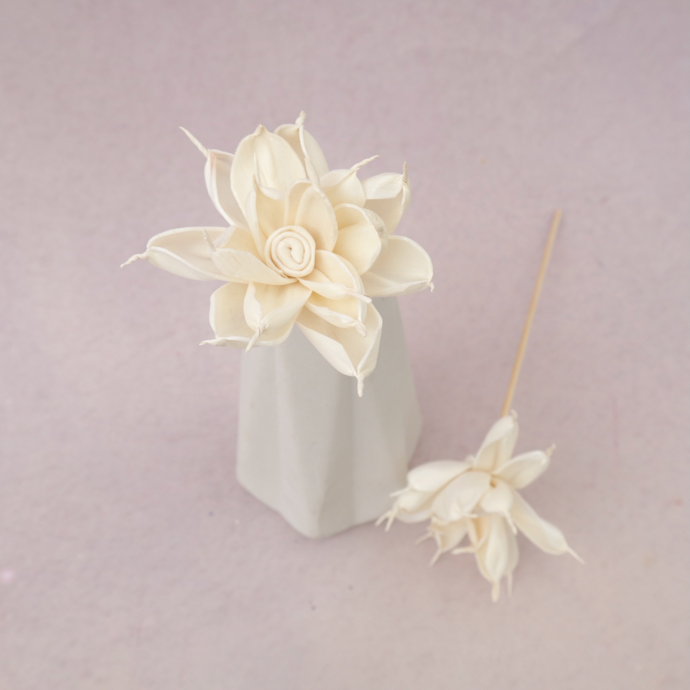 Sola Flower P