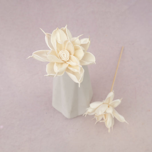 Sola Flower P