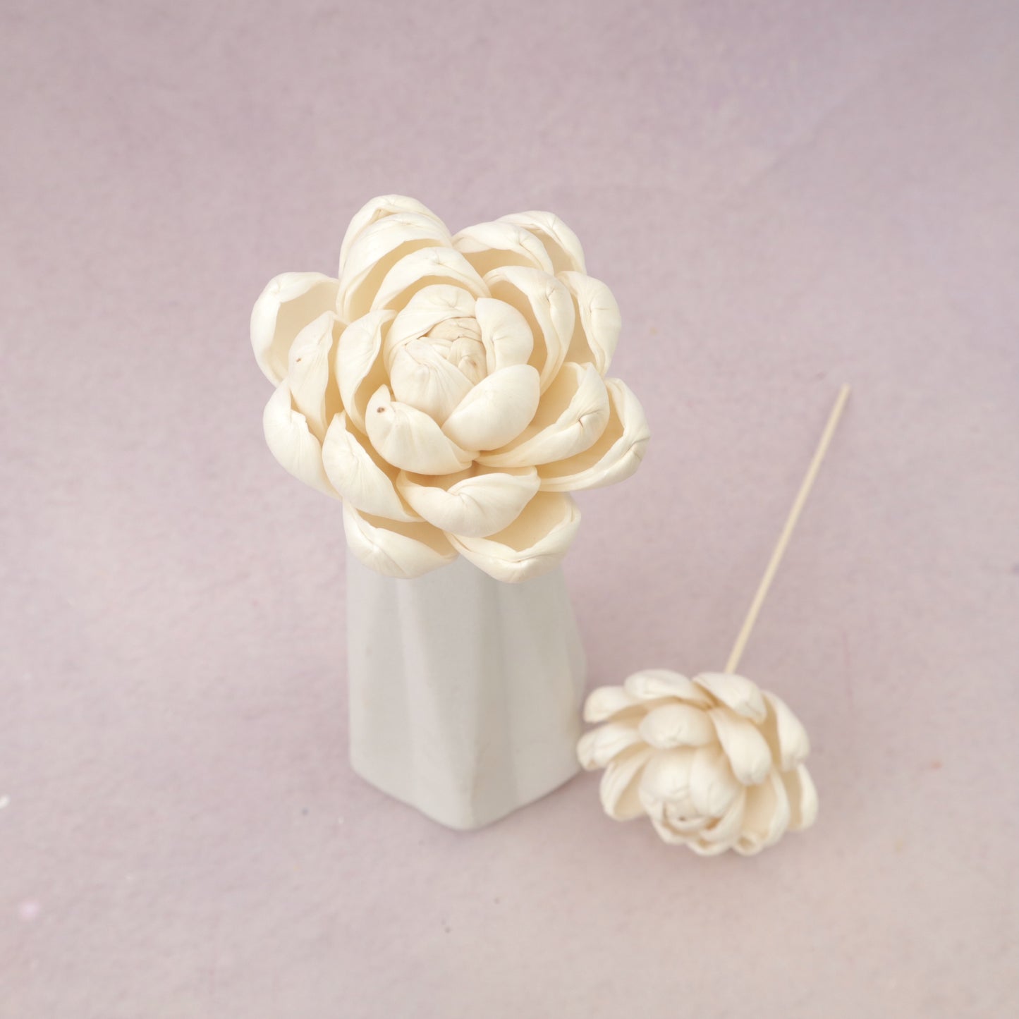 Sola Flower N