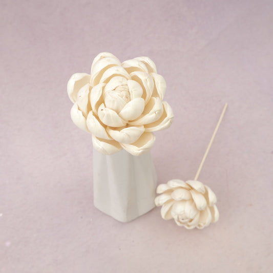 Sola Flower N