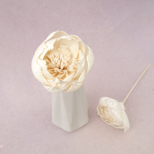 Sola Flower V