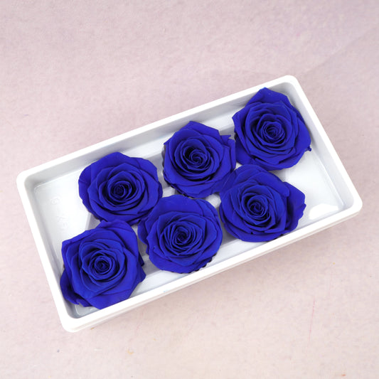 Rose Royal Blue 6 Heads