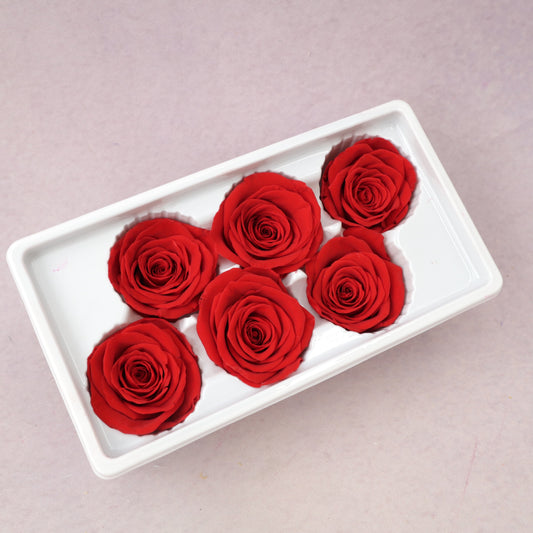 Rose Red 6 heads