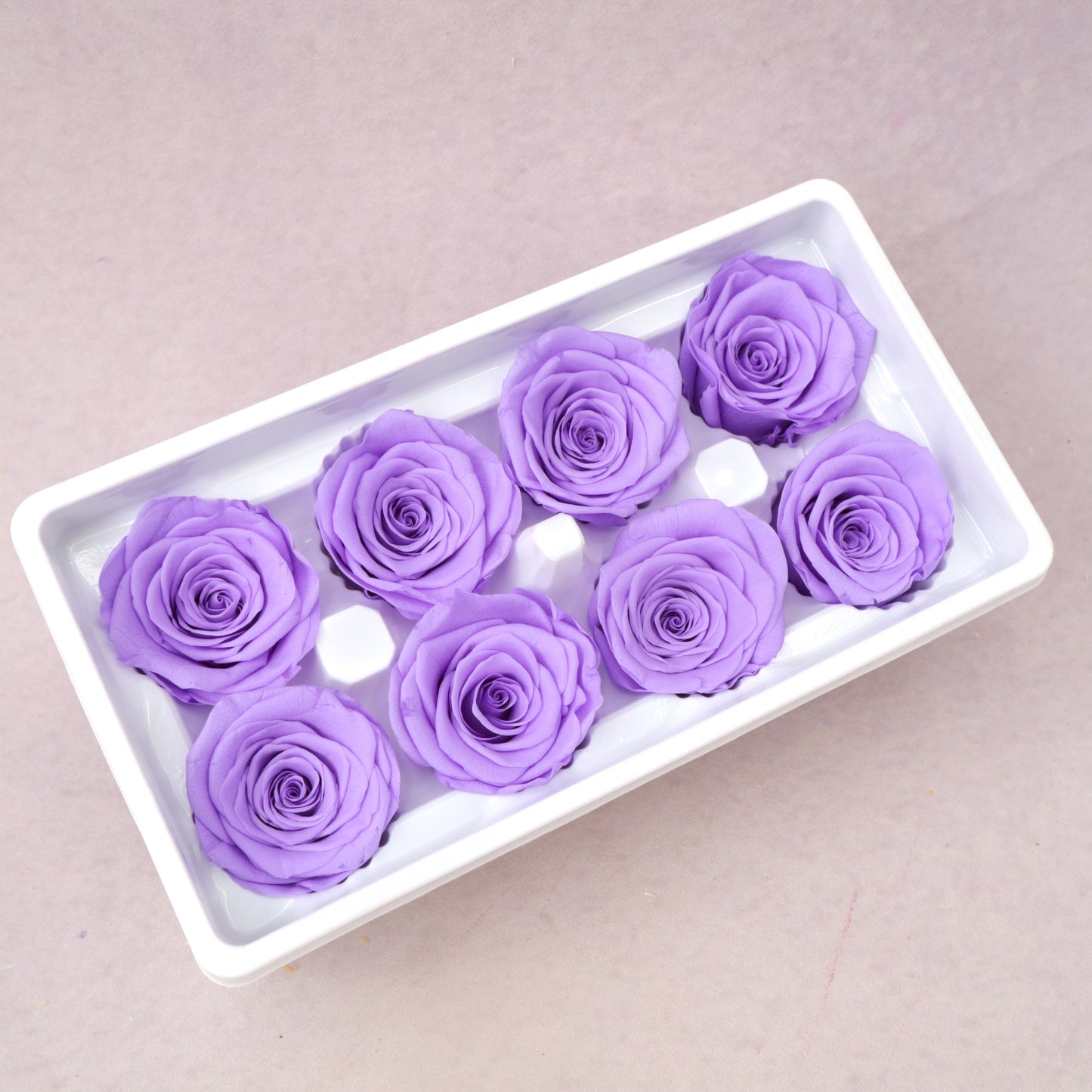 Rose Violet 8 heads
