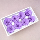 Rose Violet 8 heads