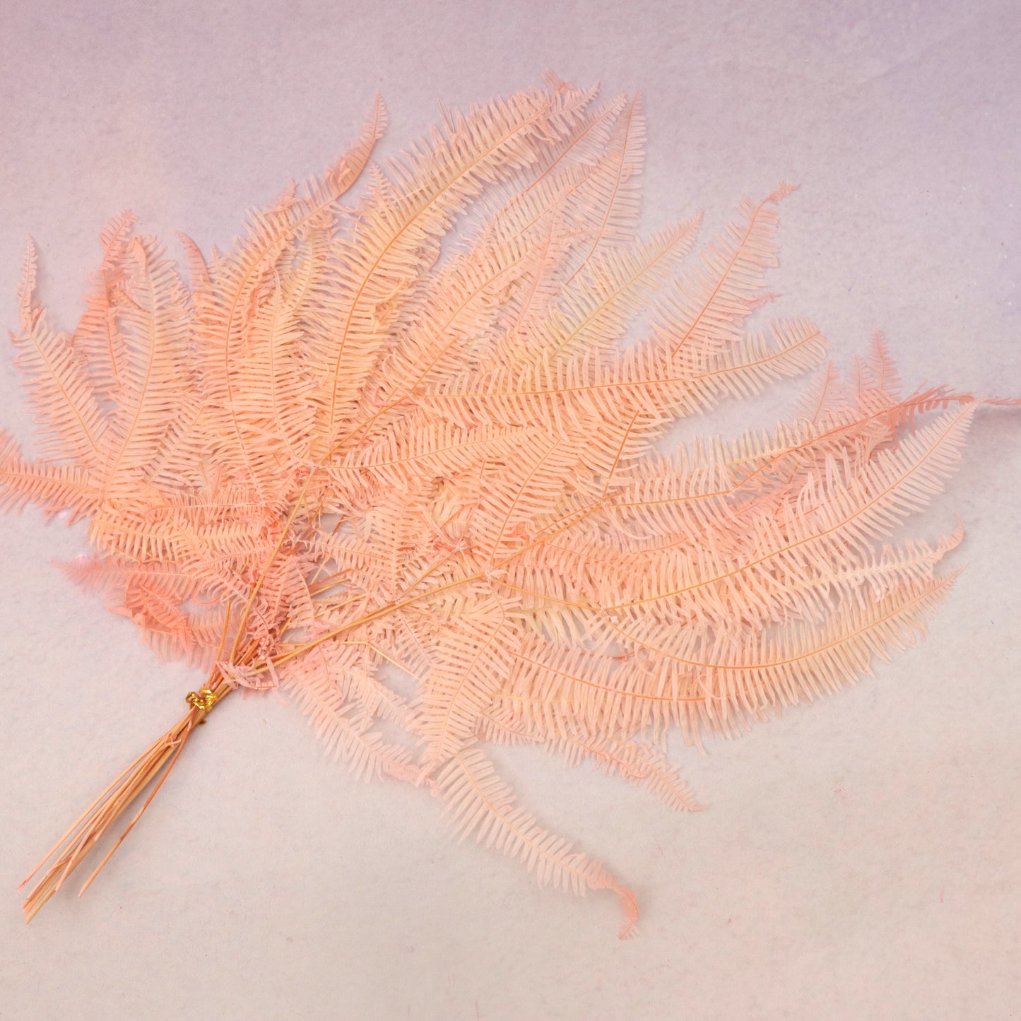 Mountain Fern Ombré Peach