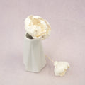 Sola Flower Peony White
