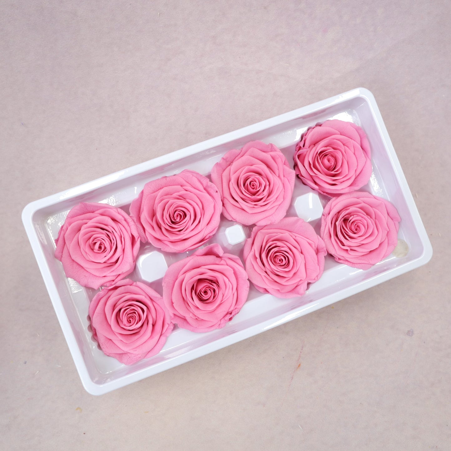 Rose Hot Pink 8 Heads