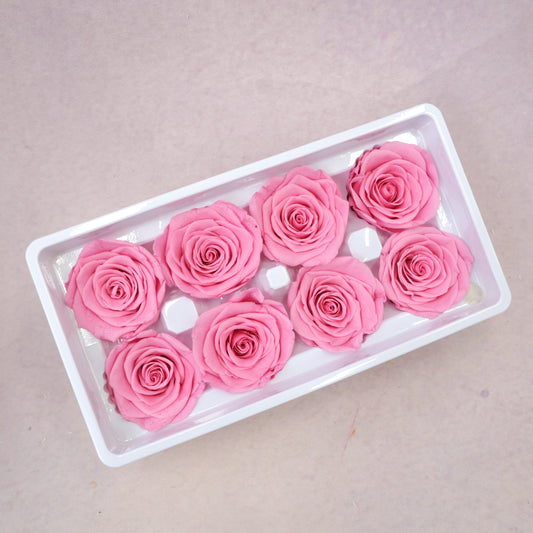 Rose Barbie Pink 8 Heads