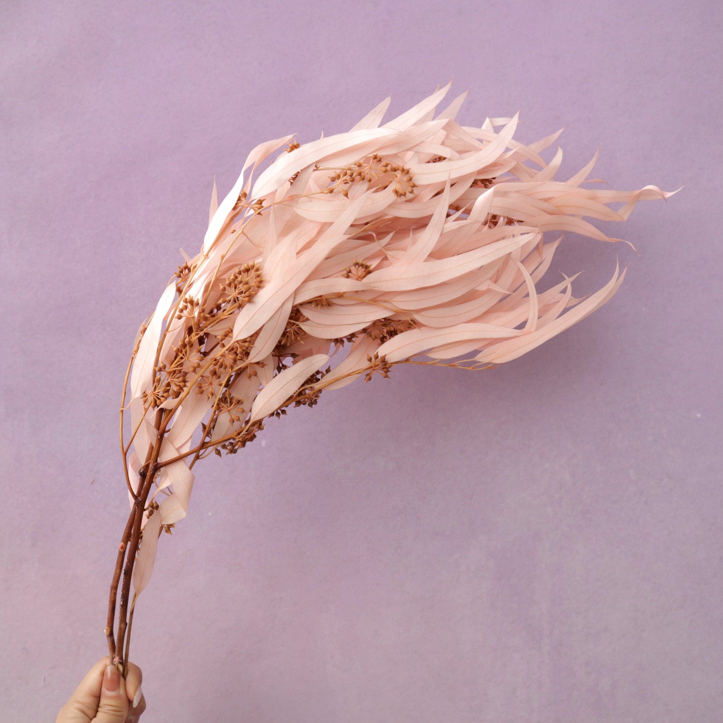 Seeded Gum Pink