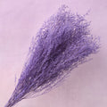 Misty Bleached Purple