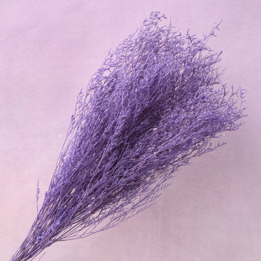 Misty Bleached Purple