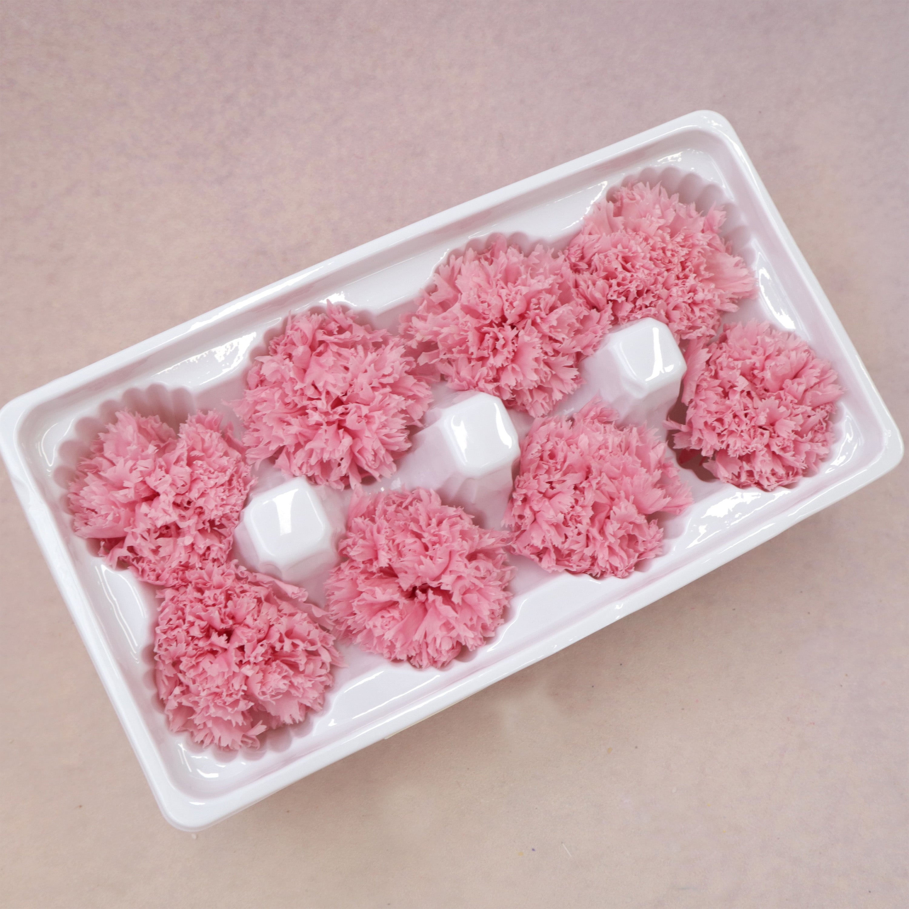 Carnation Pink 8 Heads