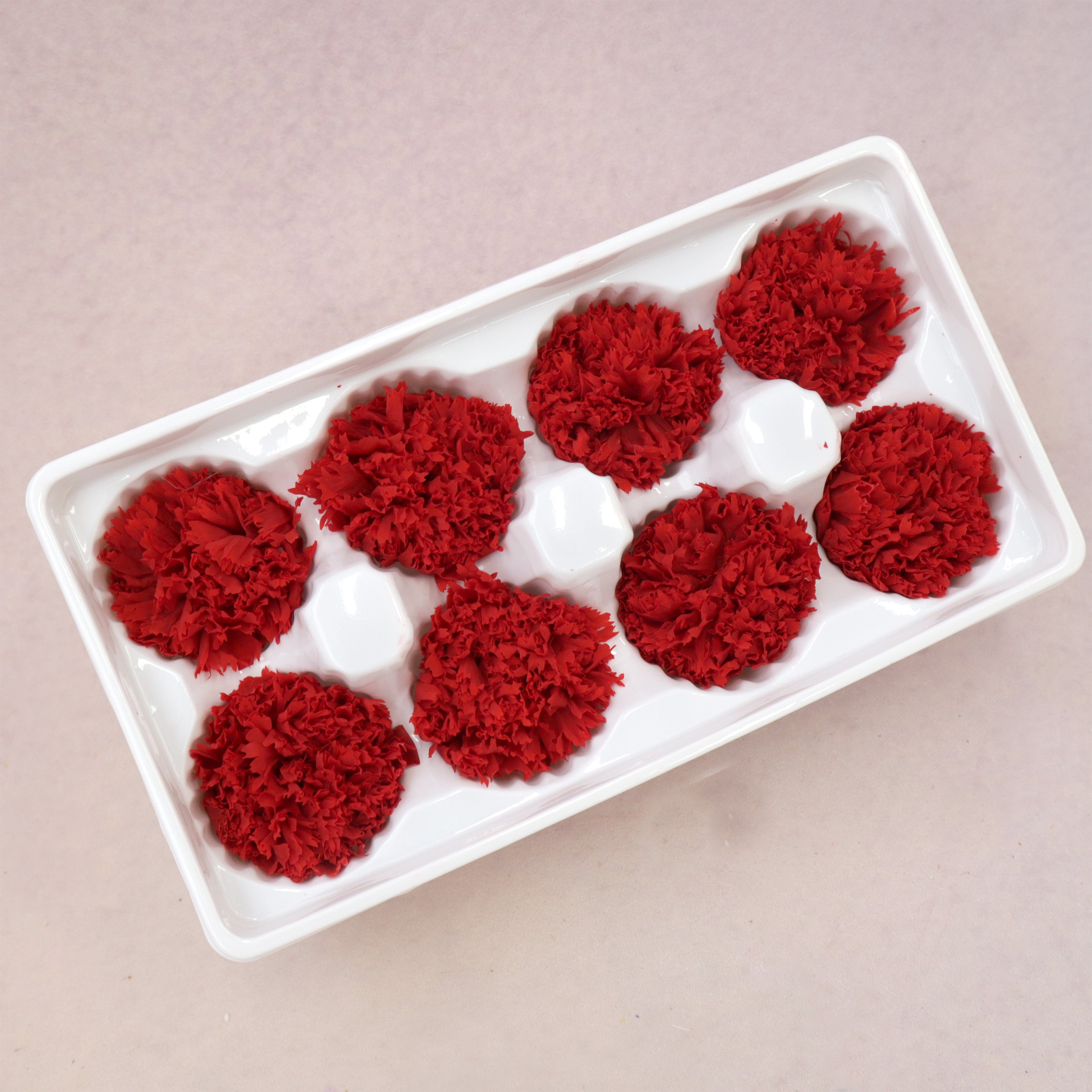 Carnation Red 8 Heads