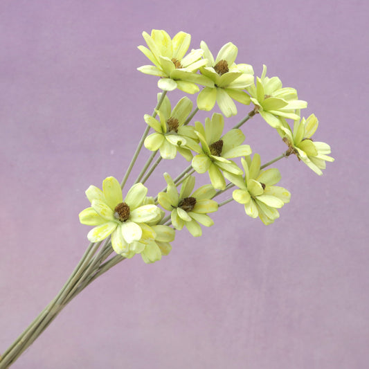 Handmade Daisy Lime