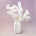 Poly Gum White