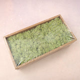 Moss Olive Green