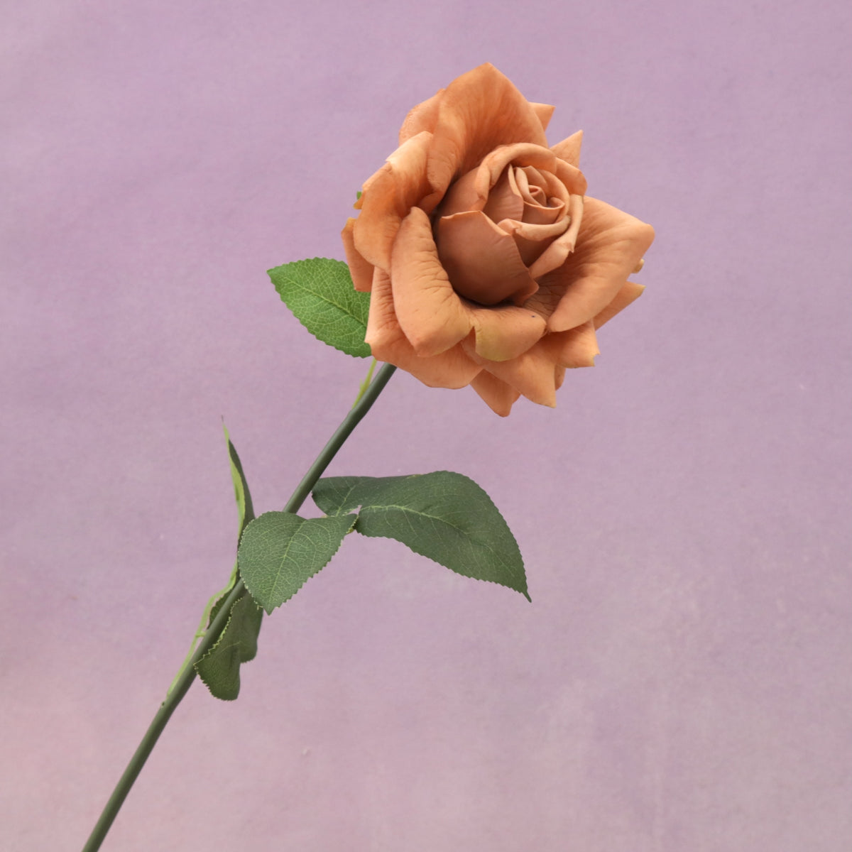 Artificial Real Touch Rose Rust Brown – Floral Forest Wholesale