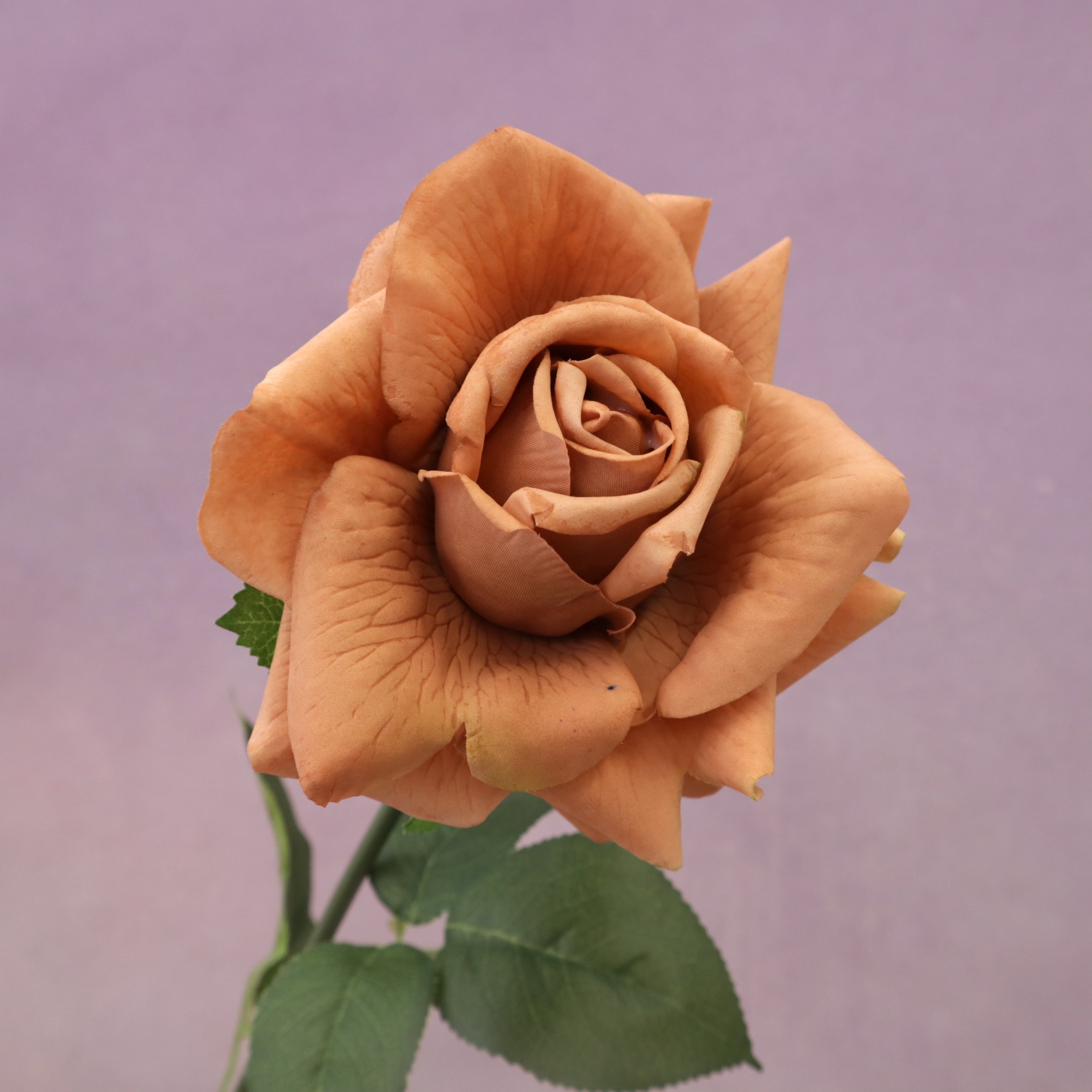 Artificial Real Touch Rose Rust Brown