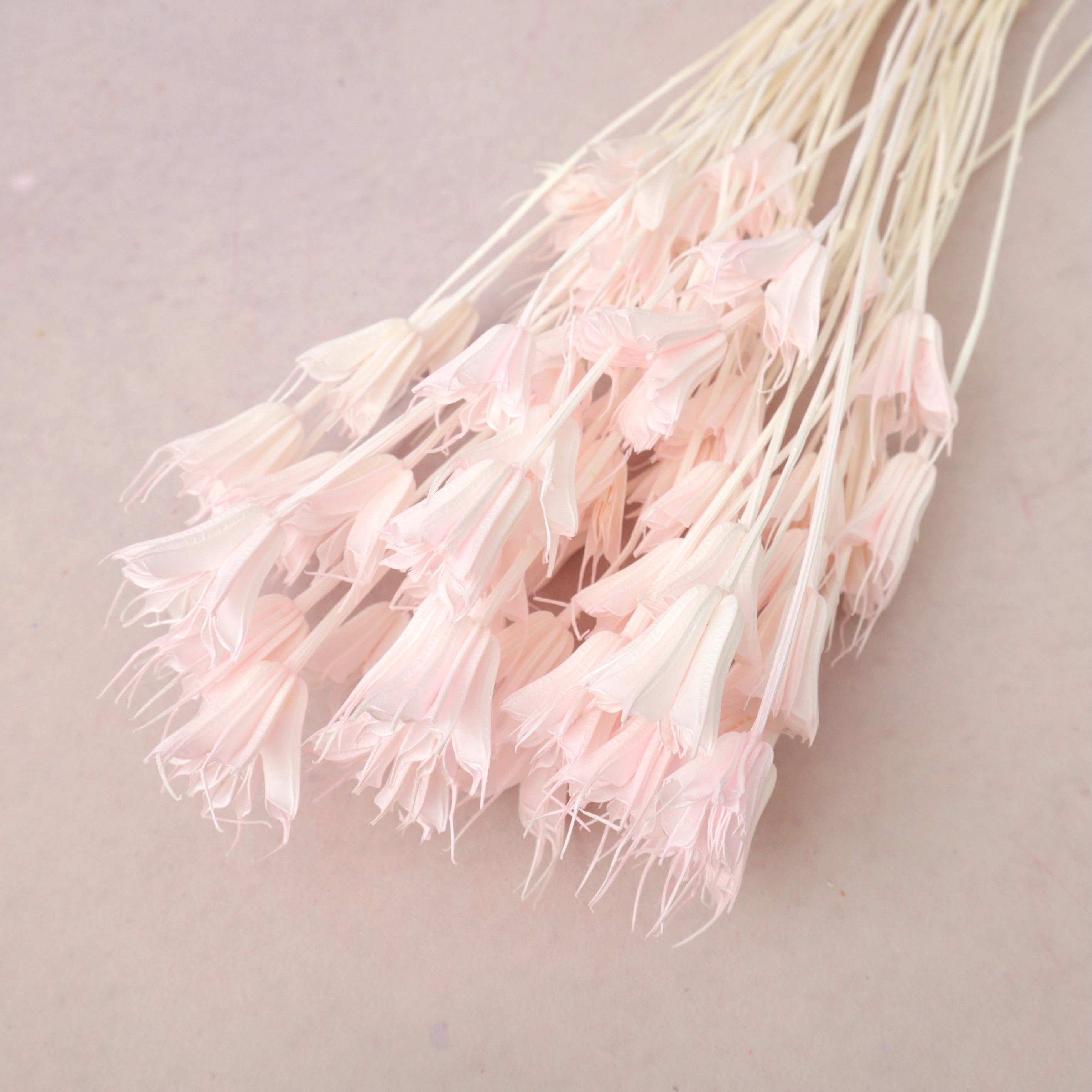 Nigella Pastel Pink