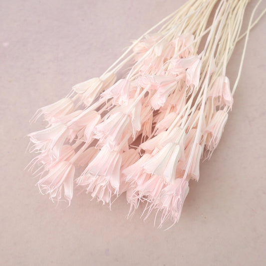 Nigella Pastel Pink