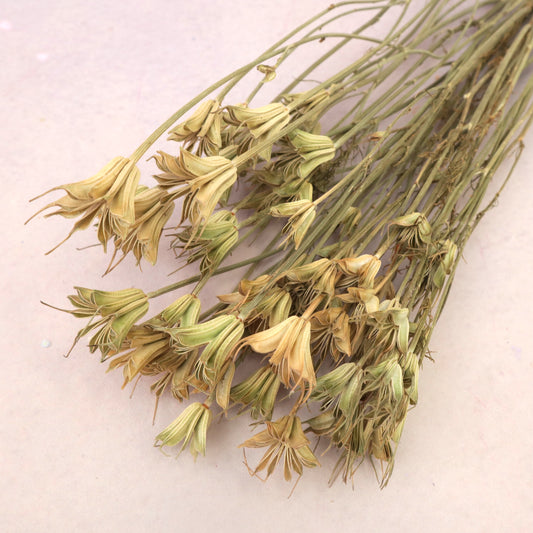 Nigella Natural