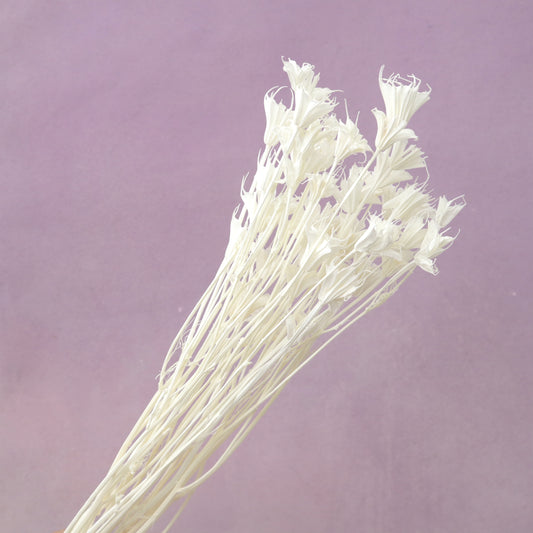 Nigella White
