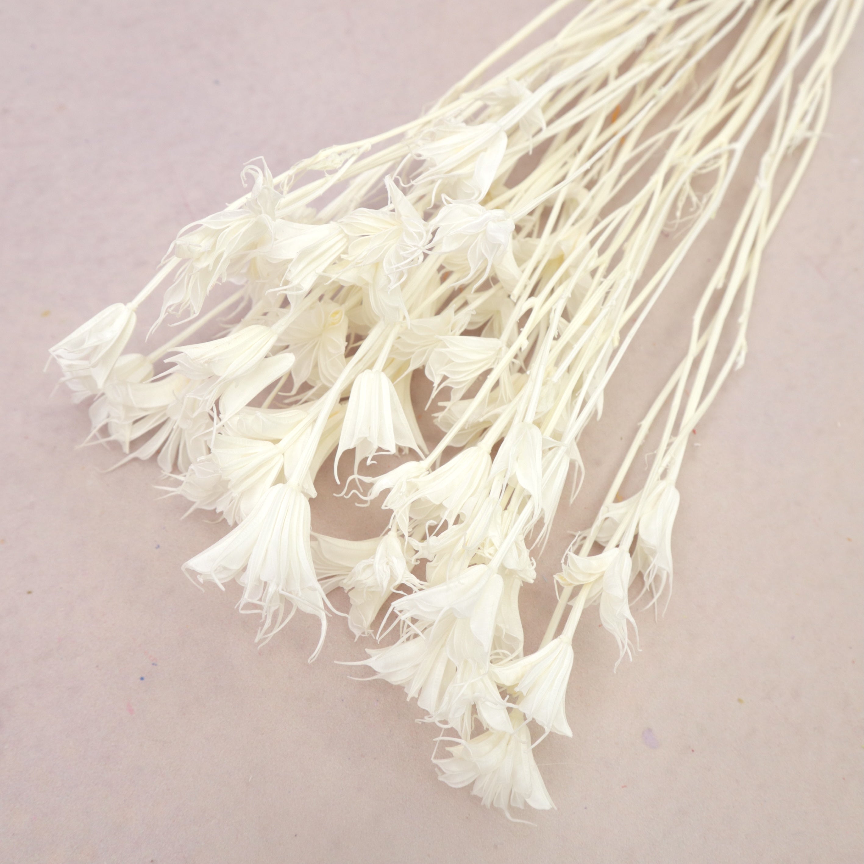 Nigella White