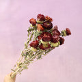 Strawflowers Dark Red