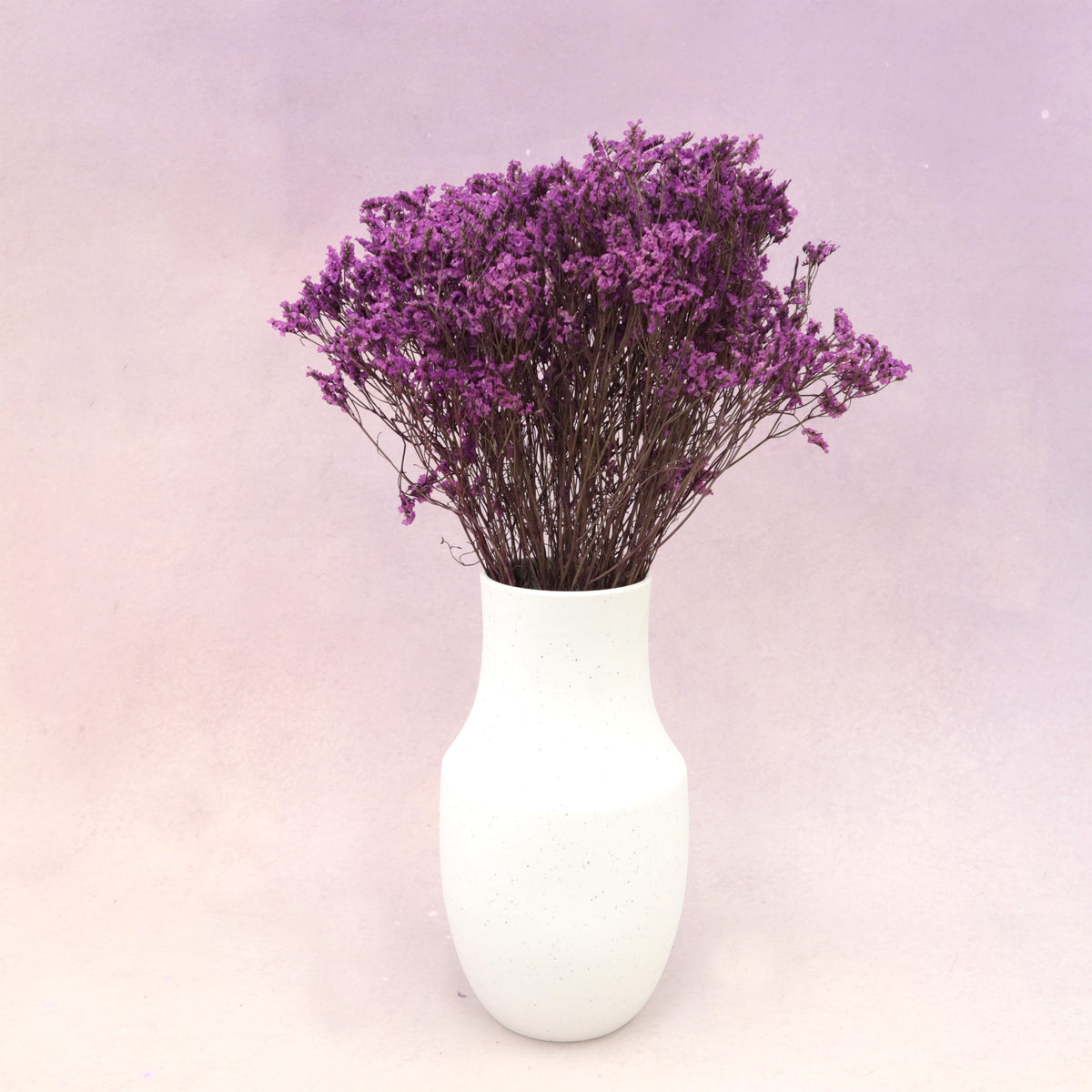 Statice Limonium Sinuatum Violet – Floral Forest Wholesale