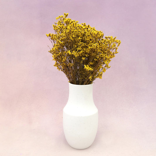 Statice Limonium Sinuatum Mustard Yellow