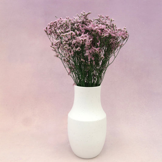 Statice Limonium Sinuatum Pink