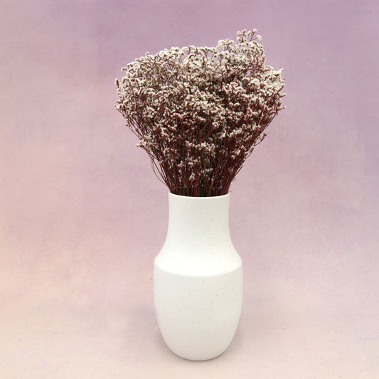 Statice Limonium Sinuatum Wine Red