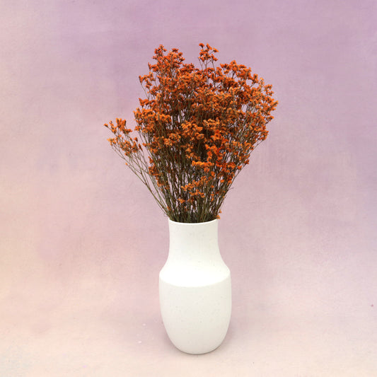 Statice Limonium Sinuatum Orange