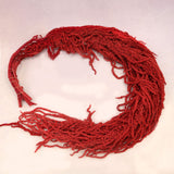 Amaranthus Red