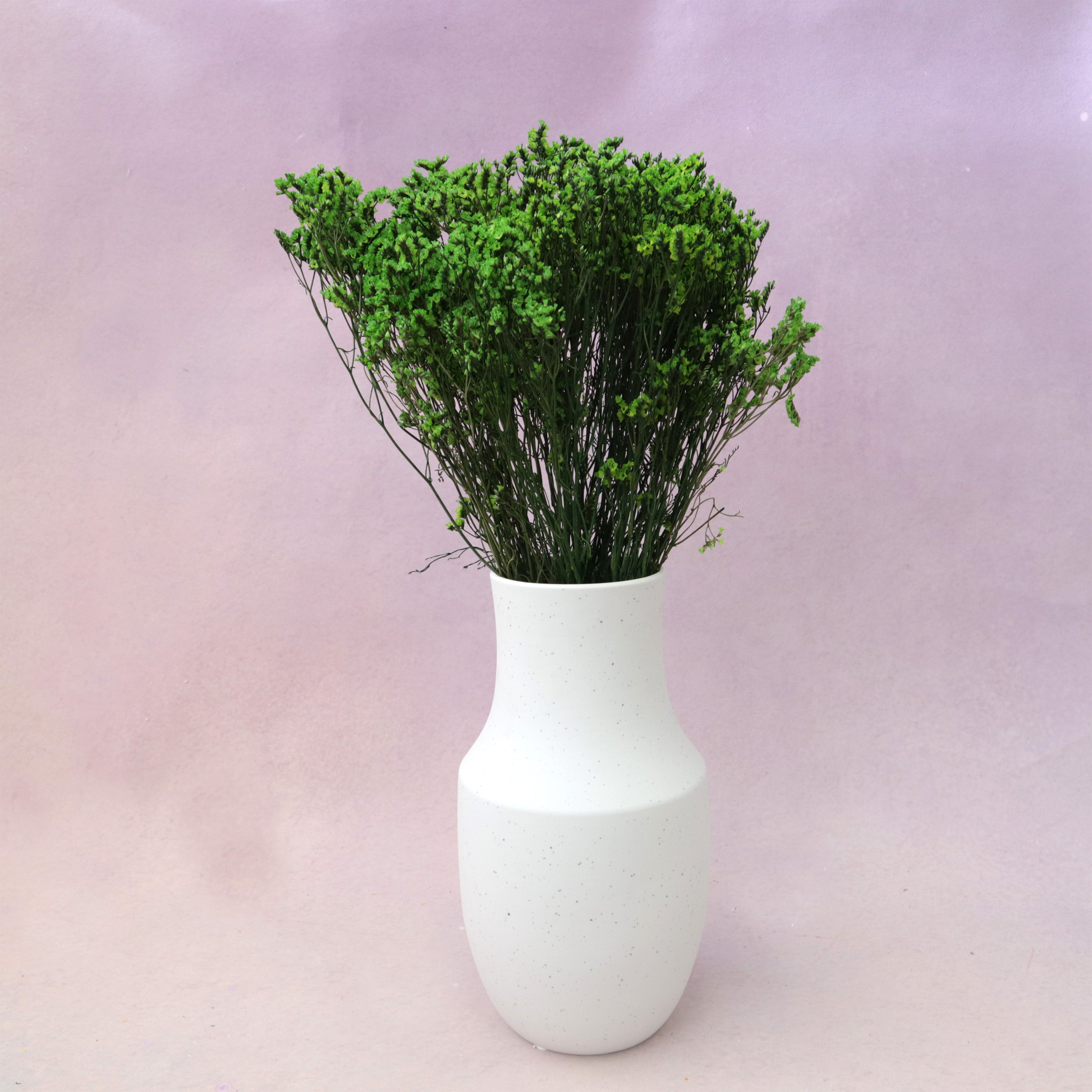 Statice Limonium Sinuatum Green