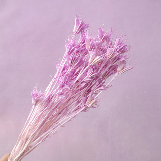 Nigella Mauve
