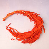Amaranthus Orange