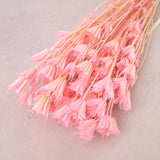 Nigella Bright Pink