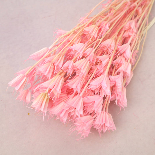 Nigella Bright Pink
