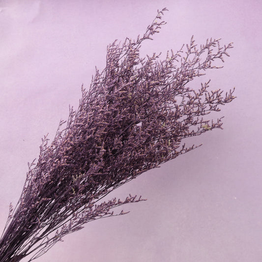 Misty Snowy Purple