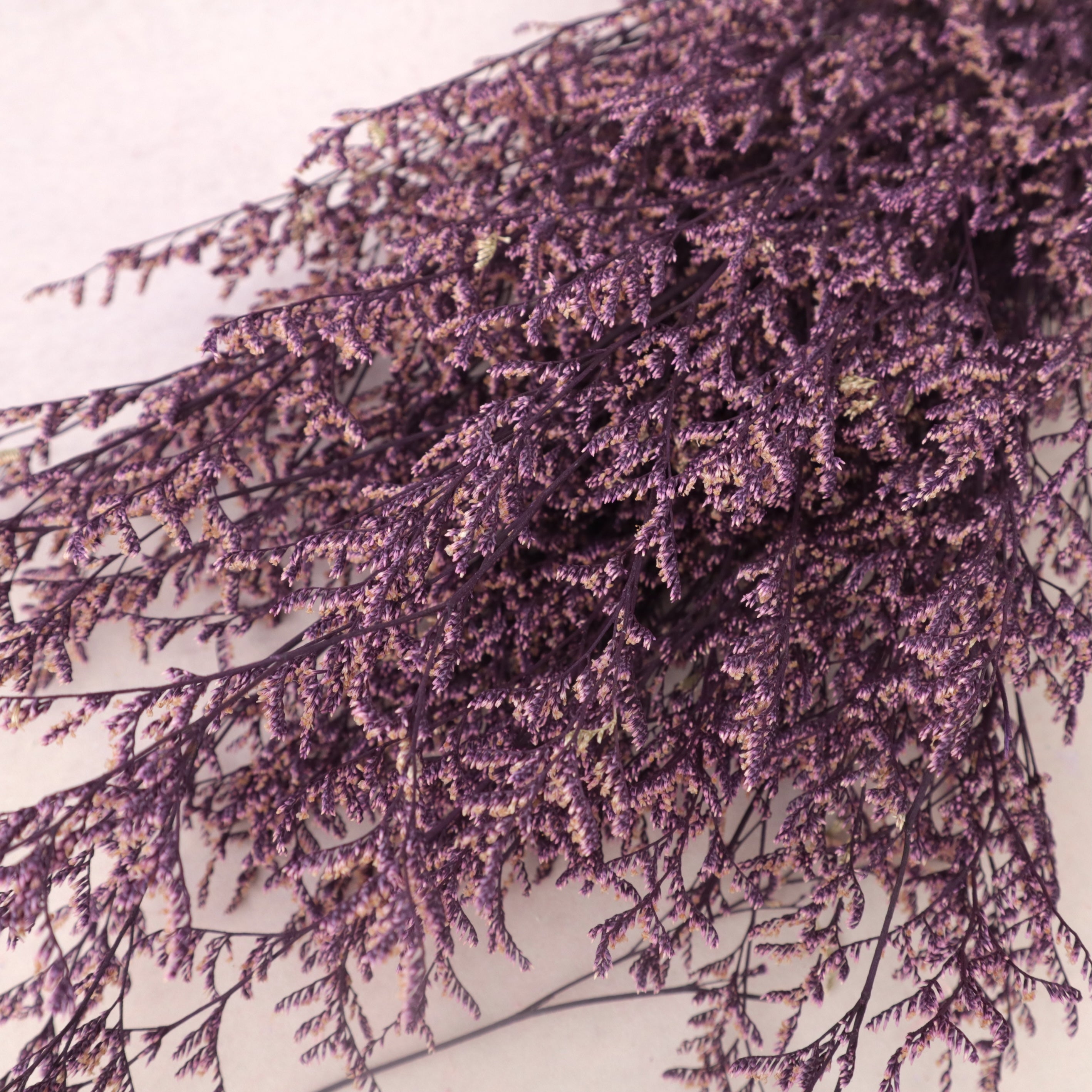 Misty Snowy Purple